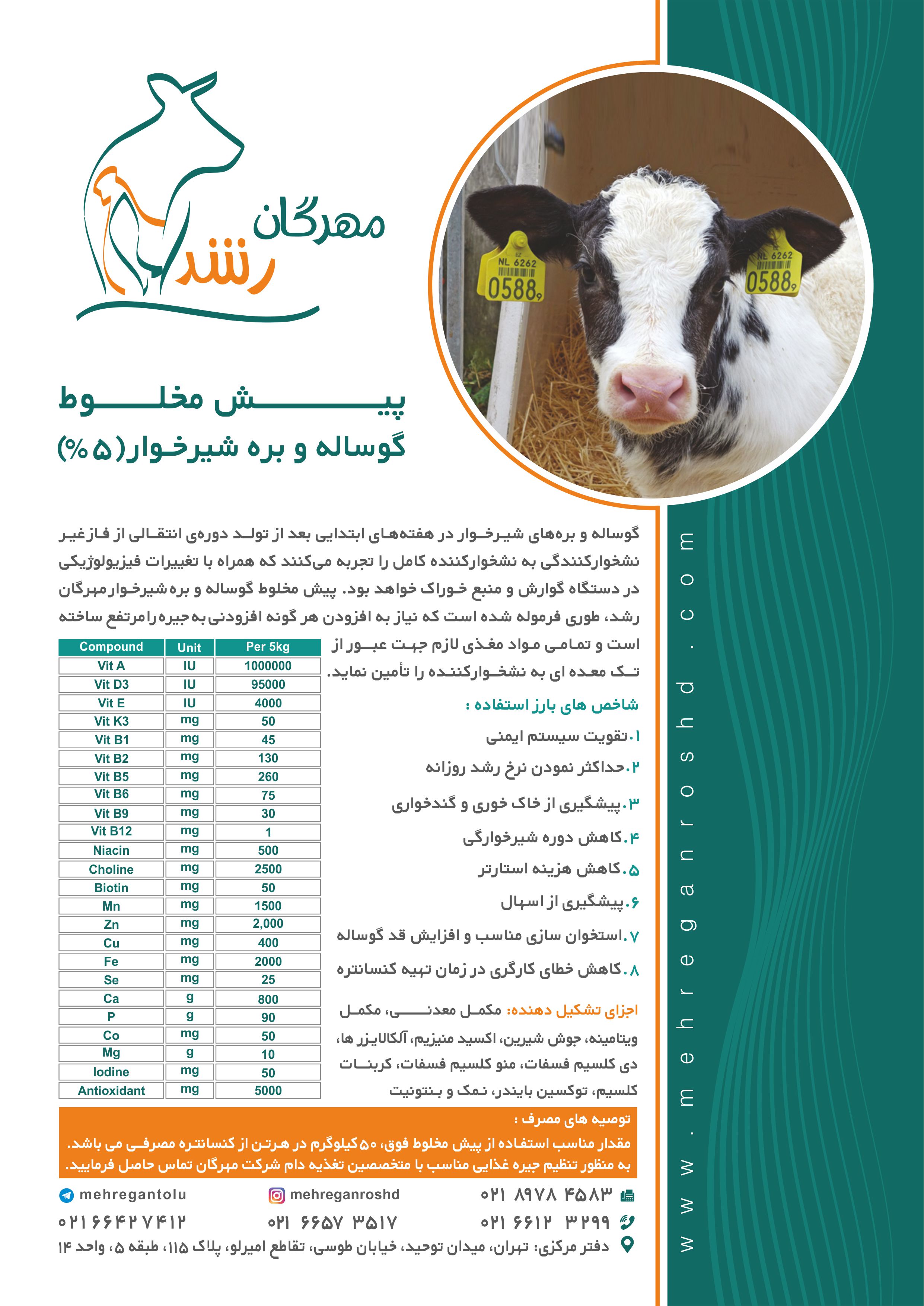 پیش مخلوط گوساله و بره شیرخوار