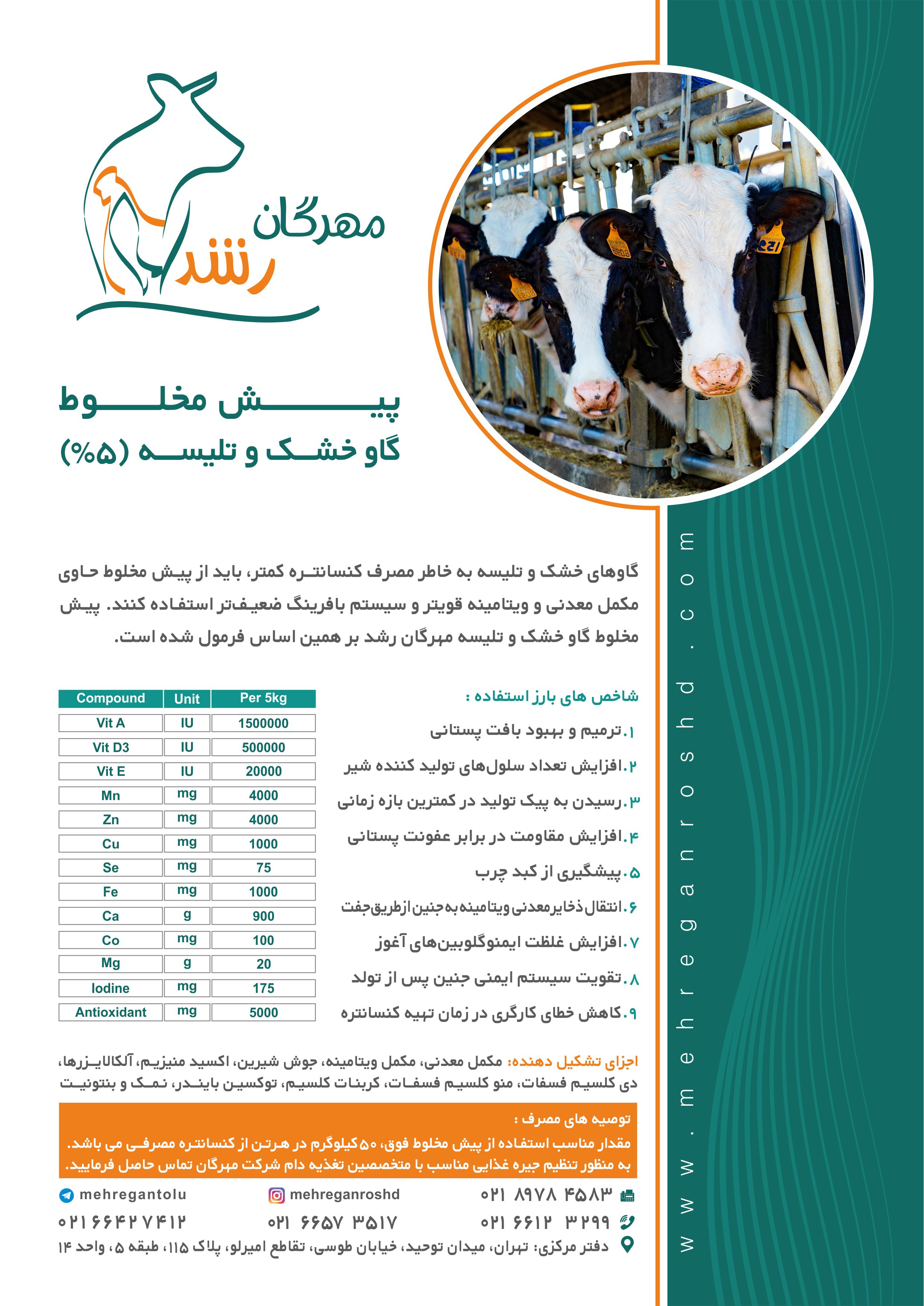 پیش مخلوط گاو شیری خشک و تلیسه
