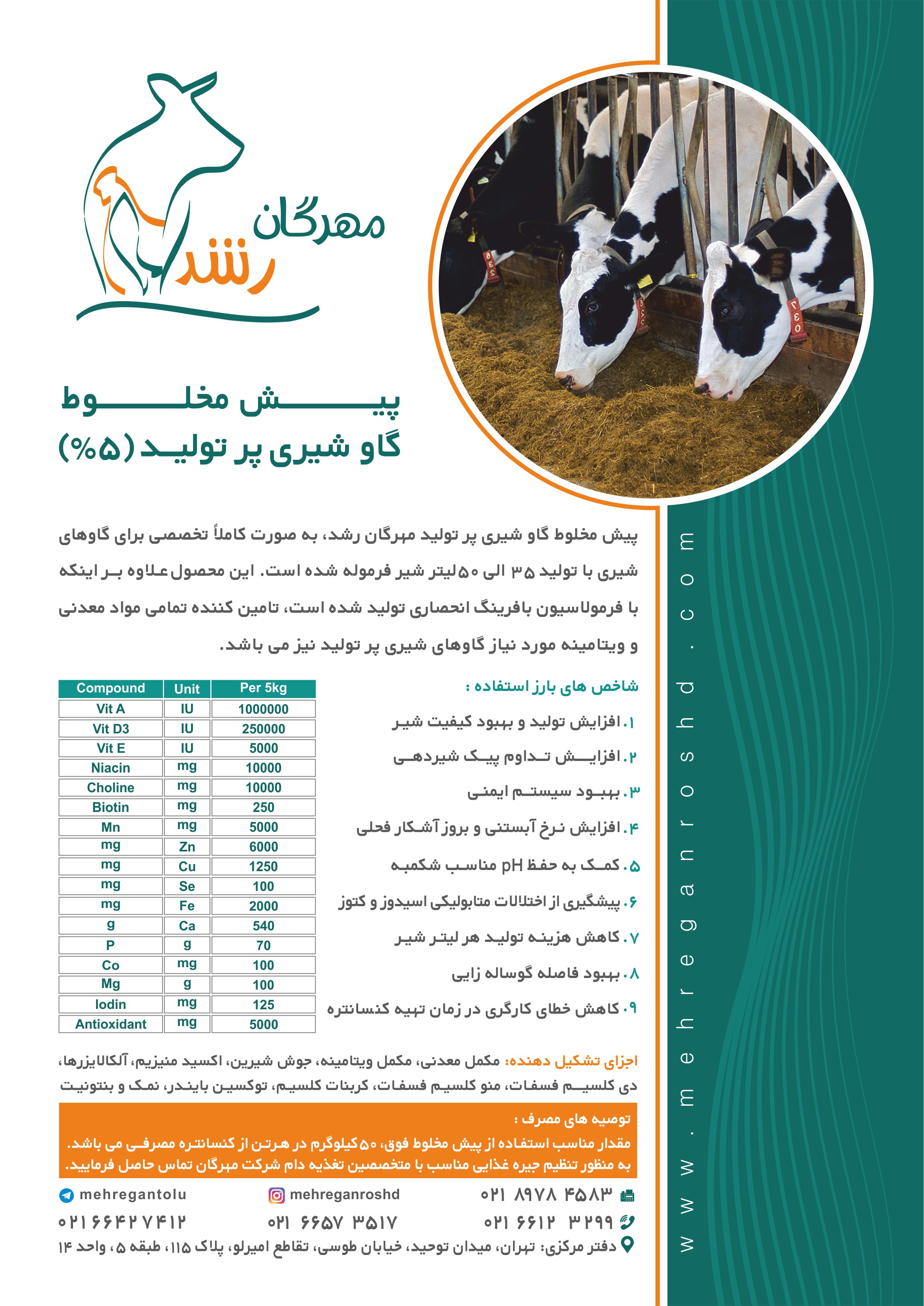 پیش مخلوط گاو شیری پر تولید