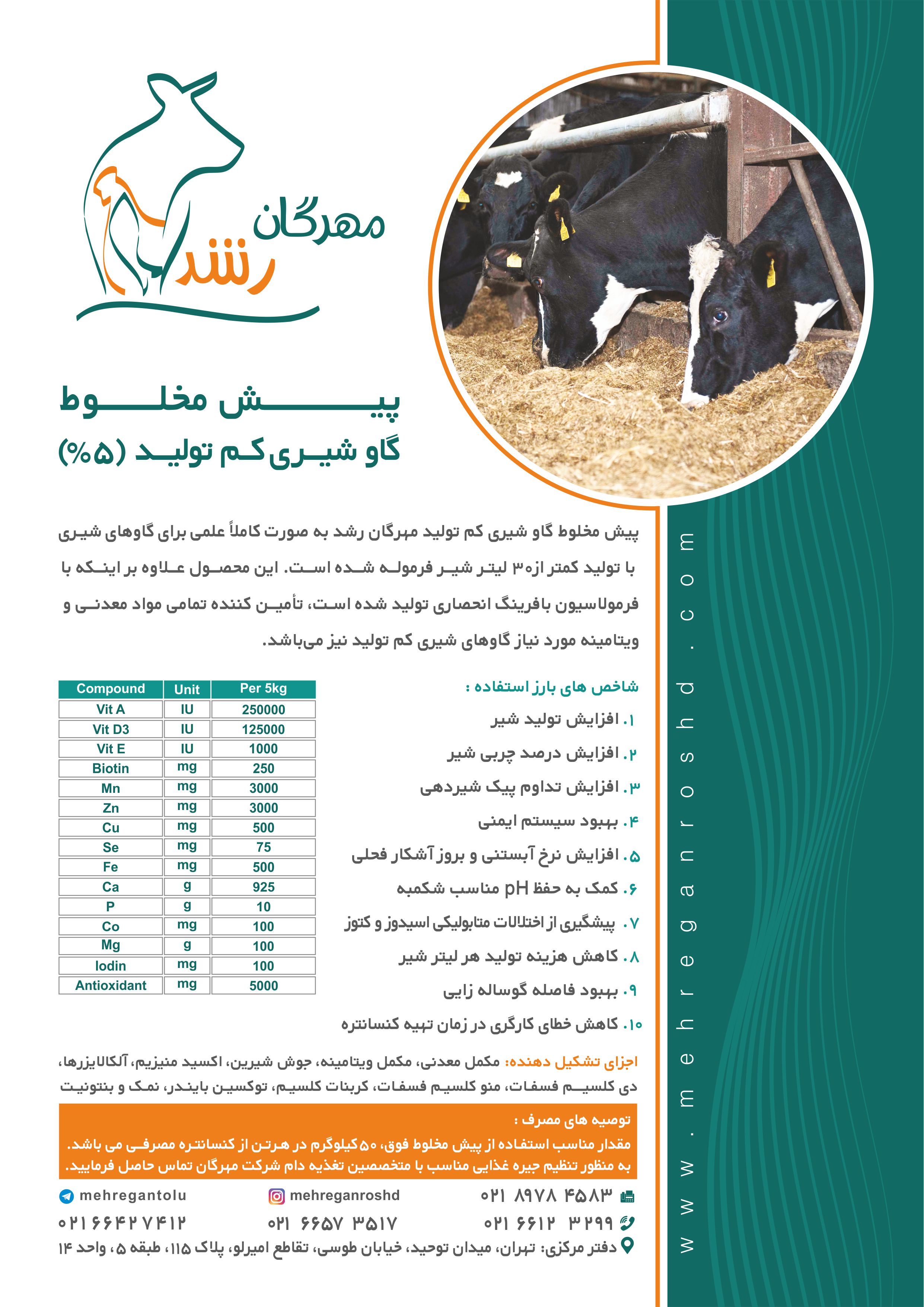 پیش مخلوط گاو شیری کم تولید